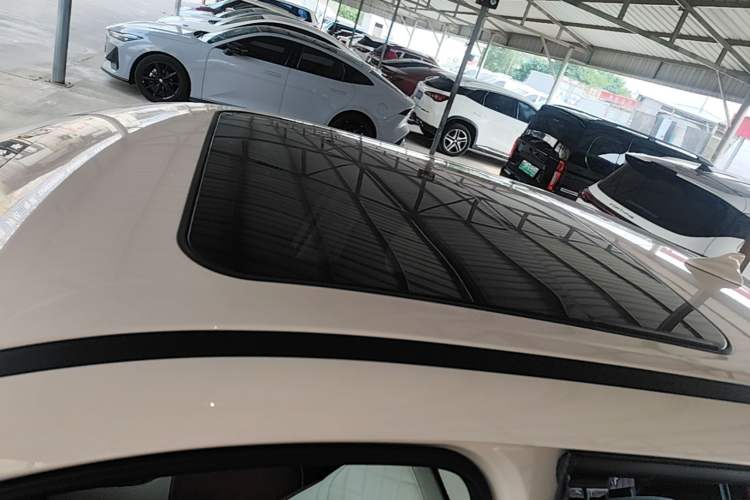 Used ORA Good Cat 2025 Model, 430 km Luxury Version Roof