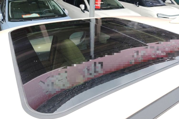 Used ORA Good Cat 2025 Model, 430 km Luxury Version Roof