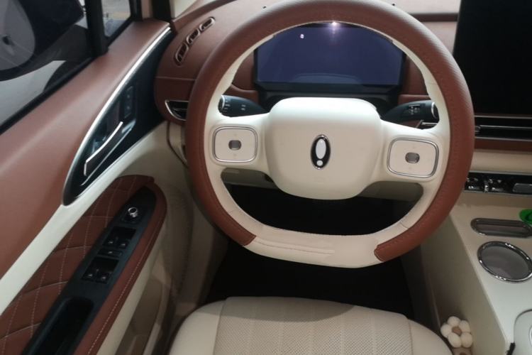 Used ORA Good Cat 2025 Model, 430 km Luxury Version Steering Wheel