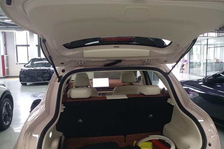 Used ORA Good Cat 2025 Model, 430 km Luxury Version Trunk