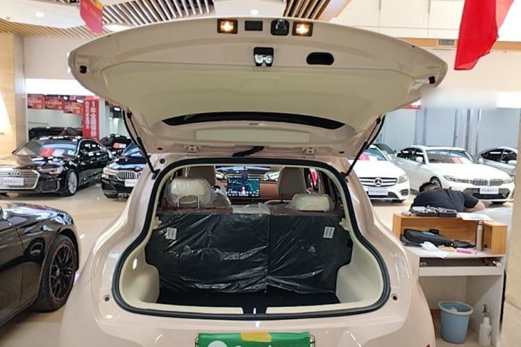 Used ORA Good Cat 2025 Model, 430 km Luxury Version Trunk