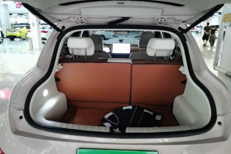 Used ORA Good Cat 2025 Model, 430 km Prestige Version Trunk