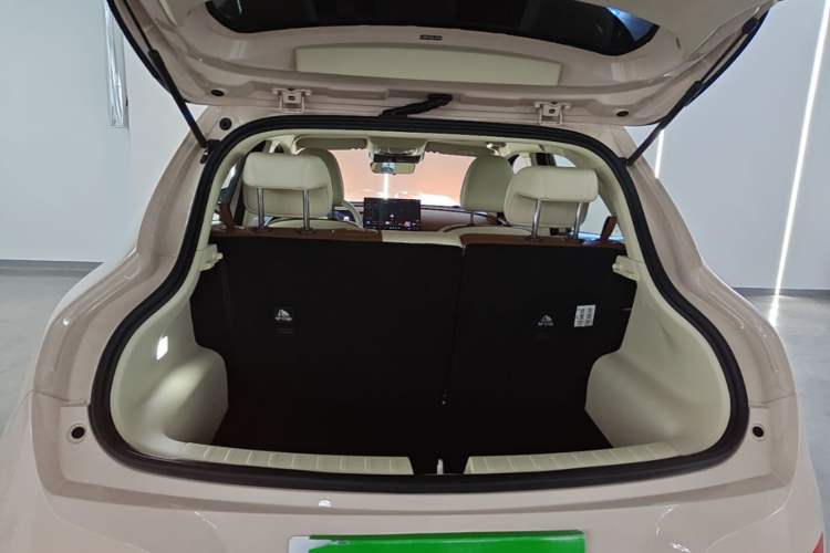 Used ORA Good Cat 2025 Model, 430 km Luxury Version Trunk
