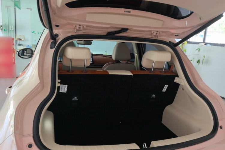 Used ORA Good Cat 2025 Model, 430 km Prestige Version Trunk