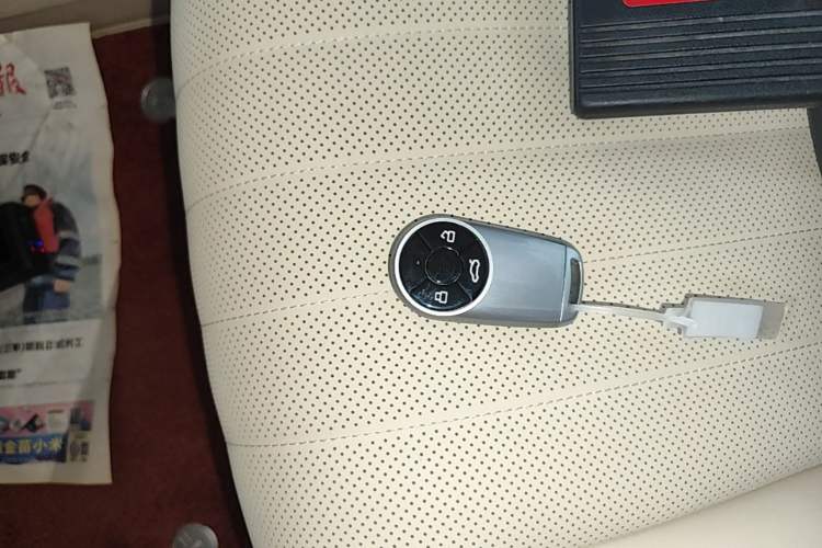 Used ORA Good Cat 2025 Model, 430 km Luxury Version Vehicle Key