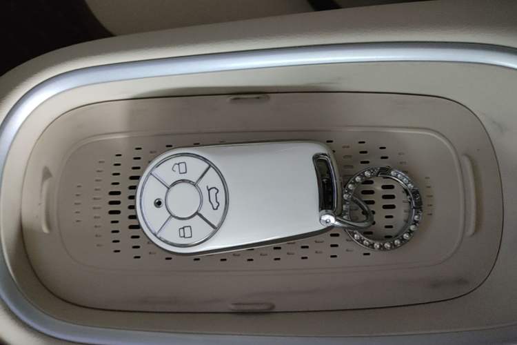 Used ORA Good Cat 2025 Model, 430 km Luxury Version Vehicle Key