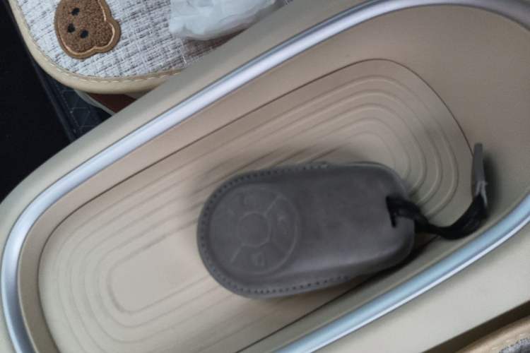 Used ORA Good Cat 2025 Model, 401km Classic Edition Vehicle Key