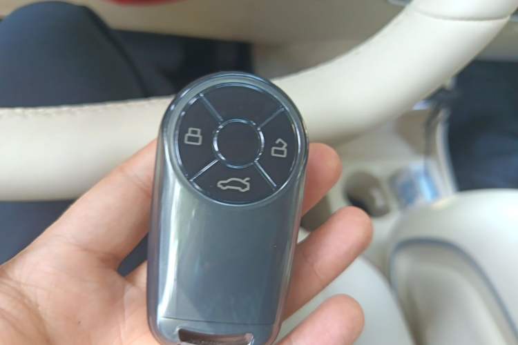 Used ORA Good Cat 2025 Model, 430 km Luxury Version Interior 1