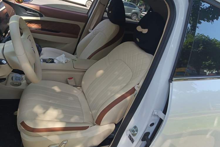 Used ORA Good Cat 2025 Model, 430 km Luxury Version Interior 3