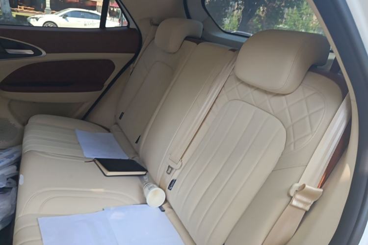 Used ORA Good Cat 2025 Model, 430 km Luxury Version Interior 4