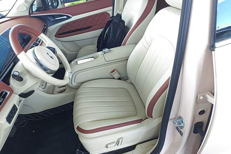 Used ORA Good Cat 2025 Model, 430 km Luxury Version Left Front Seat