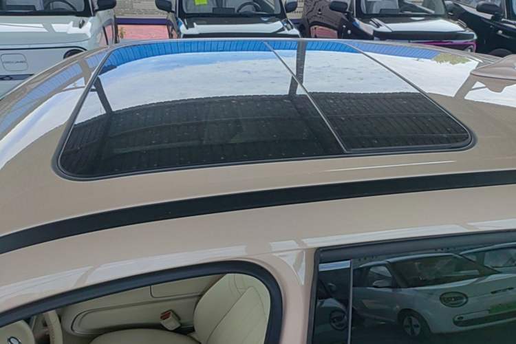 Used ORA Good Cat 2025 Model, 430 km Luxury Version Roof