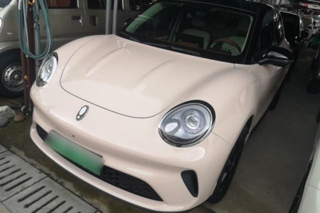 Used ORA Good Cat 2025 Model, 430 km Luxury Version