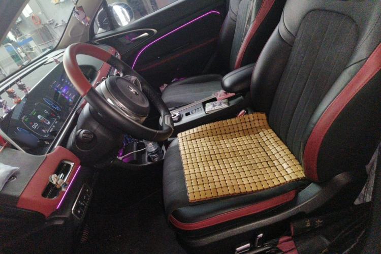 Used ORA Good Cat GT 2022 Mulan Edition 401 km Standard Range Left Front Seat