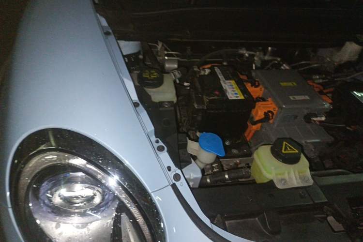 Used ORA Good Cat GT 2022 Mulan Edition 401 km Standard Range Engine Bay Right