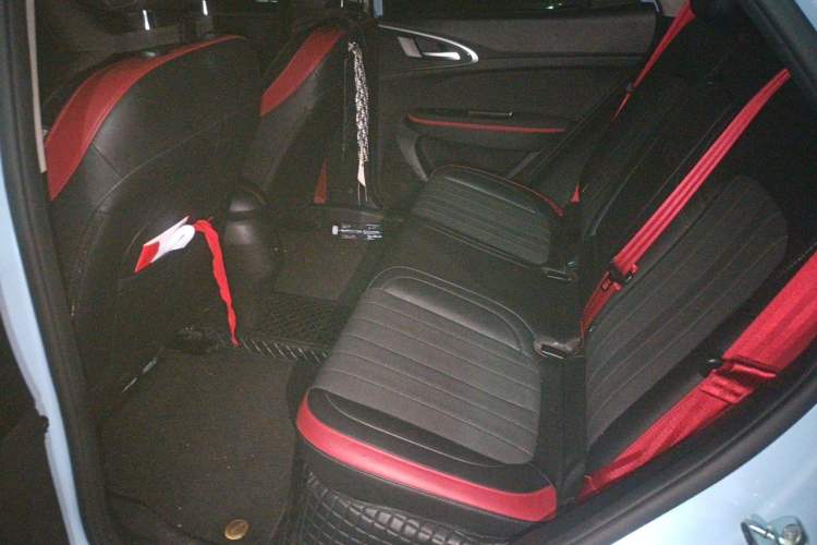 Used ORA Good Cat GT 2022 Mulan Edition 401 km Standard Range Left Rear Seat