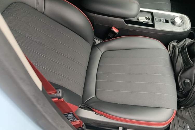 Used ORA Good Cat GT 2022 Mulan Edition 480km Long-Range续航 Right Front Seat