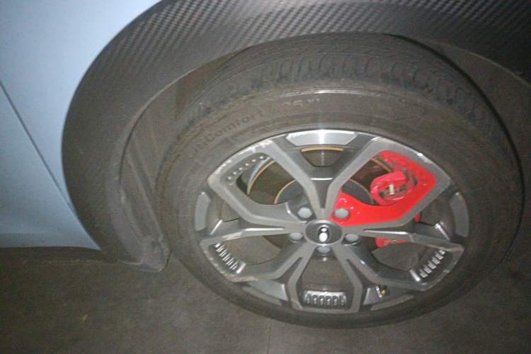 Used ORA Good Cat GT 2022 Mulan Edition 401 km Standard Range Right Front Wheel Hub