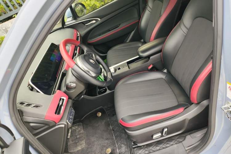 Used ORA Good Cat GT 2022 Mulan Edition 480km Long-Range续航 Left Front Seat