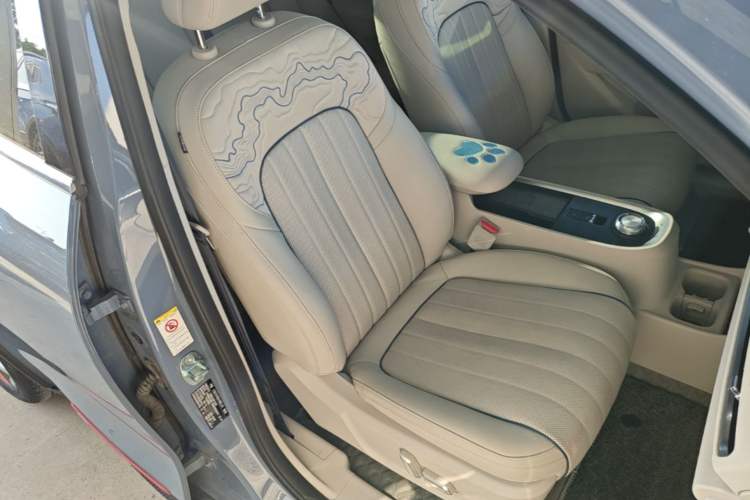 Used ORA Good Cat GT 2022 Mulan Edition 401 km Standard Range Right Front Seat