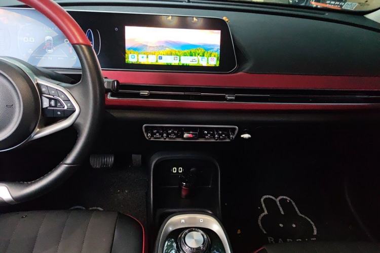 Used ORA Good Cat GT 2022 Mulan Edition 480km Long-Range续航 Audio And AC Panel