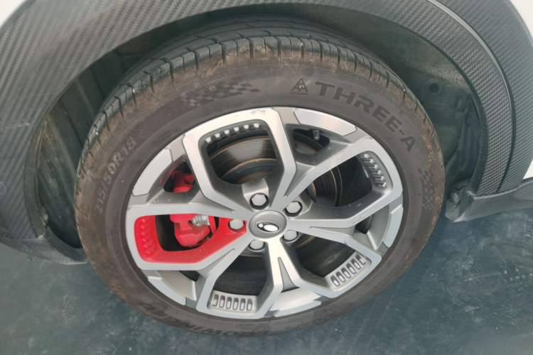 Used ORA Good Cat GT 2022 Mulan Edition 401 km Standard Range Exterior 8