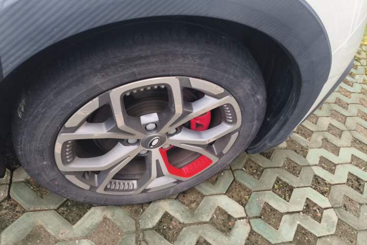 Used ORA Good Cat GT 2022 Mulan Edition 480km Long-Range续航 Right Front Wheel Hub