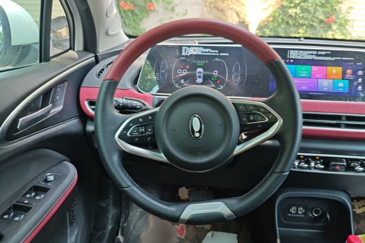 Used ORA Good Cat GT 2022 Mulan Edition 480km Long-Range续航 Steering Wheel