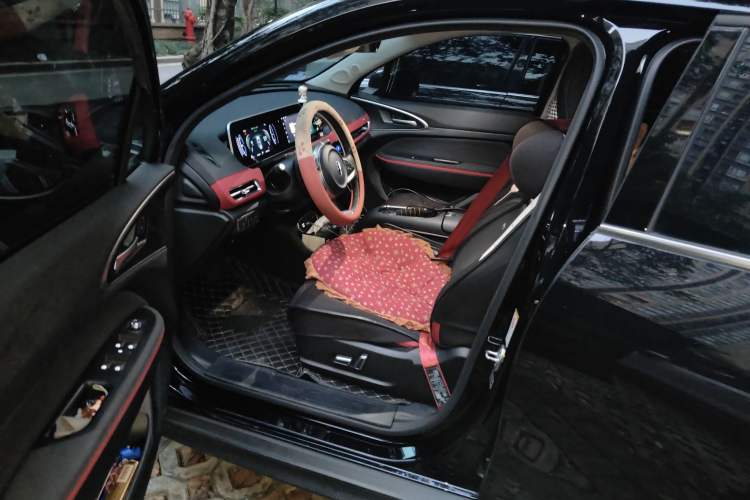 Used ORA Good Cat GT 2023 Mulan Edition 401km Luxury Version Driver Seat
