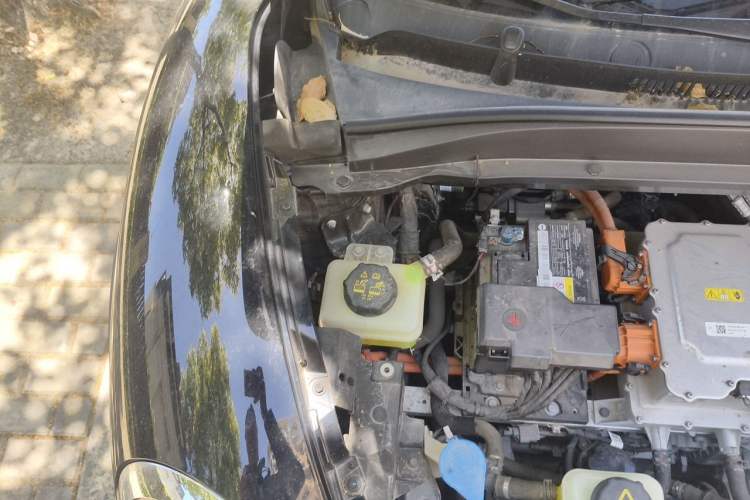 Used ORA Good Cat GT 2023 Mulan Edition 401km Prestige Version Engine Bay Right