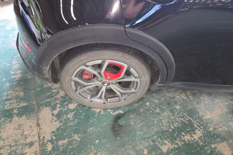 Used ORA Good Cat GT 2023 Mulan Edition 401km Luxury Version Exterior 5