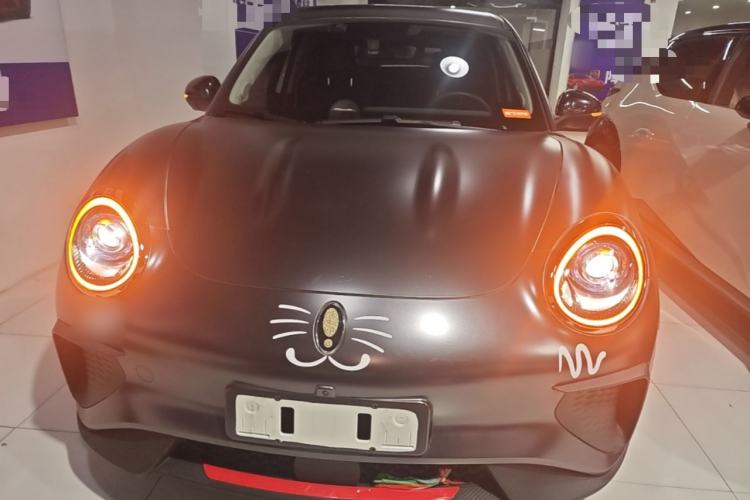 Used ORA Good Cat GT 2023 Mulan Edition 401km Luxury Version Front