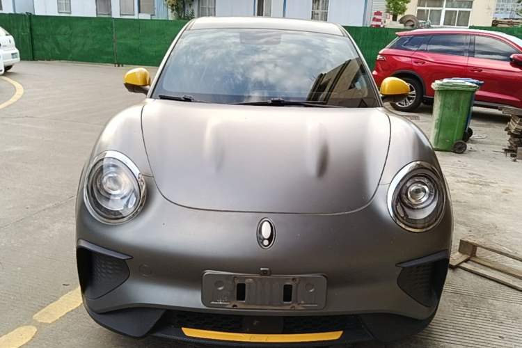 Used ORA Good Cat GT 2023 Mulan Edition 401km Prestige Version Front