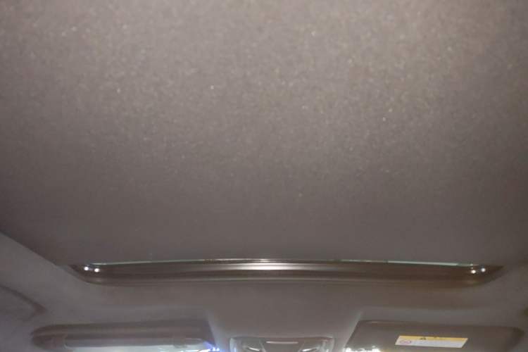 Used ORA Good Cat GT 2023 Mulan Edition 401 km Premium Version Headliner