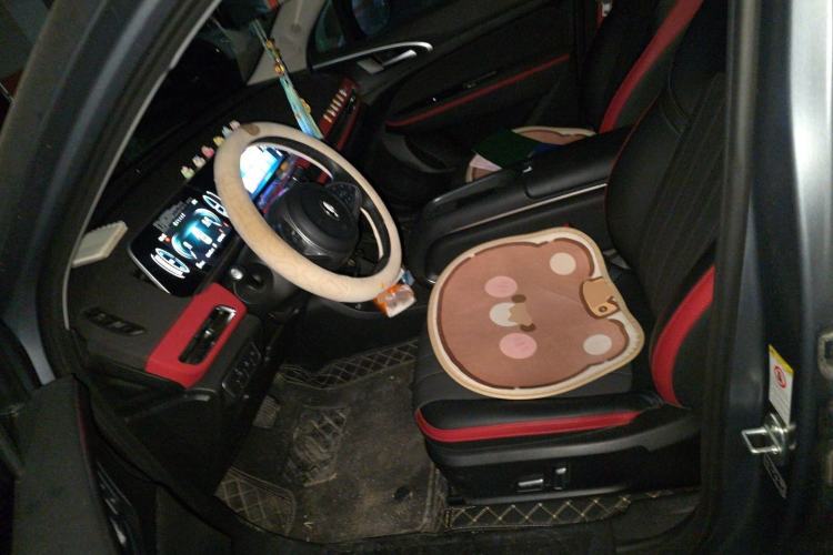 Used ORA Good Cat GT 2023 Mulan Edition 401km Luxury Version Left Front Seat