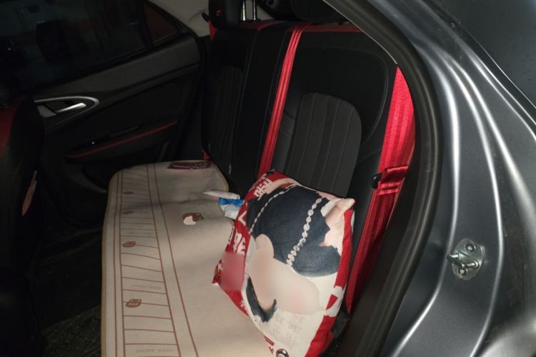 Used ORA Good Cat GT 2023 Mulan Edition 401km Luxury Version Left Rear Seat