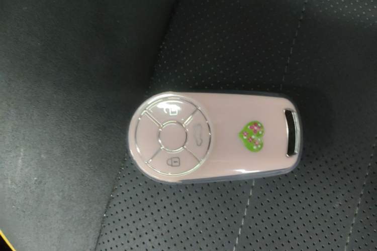 Used ORA Good Cat GT 2023 Mulan Edition 401km Prestige Version Vehicle Key
