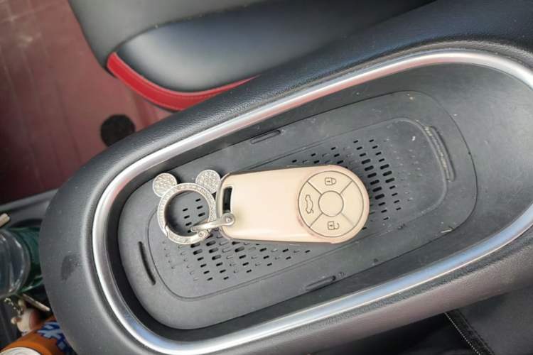 Used ORA Good Cat GT 2023 Mulan Edition 401km Luxury Version Vehicle Key