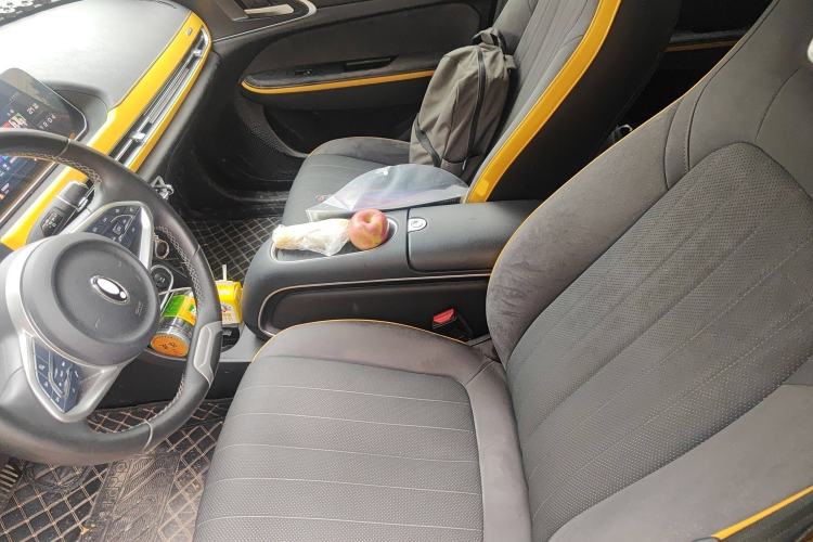Used ORA Good Cat GT 2023 Mulan Edition 401km Prestige Version Left Front Seat