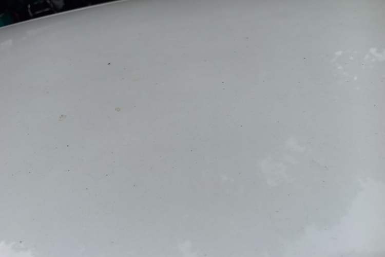 Used ORA Good Cat GT 2023 Mulan Edition 401km Luxury Version Roof