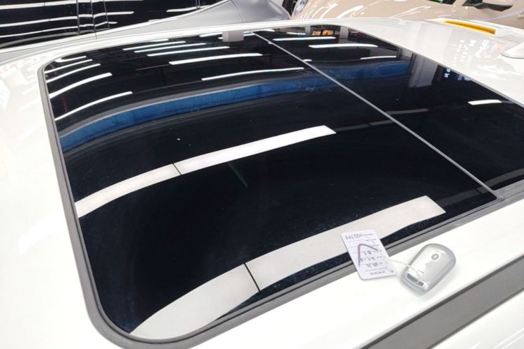 Used ORA Good Cat GT 2023 Mulan Edition 401 km Premium Version Roof