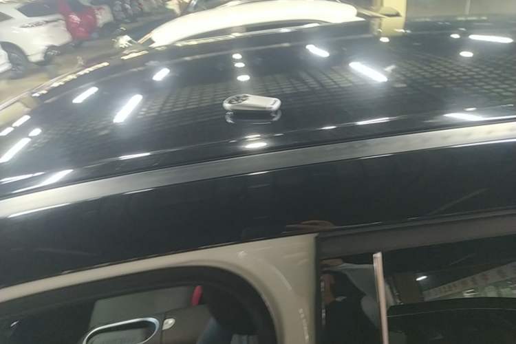 Used ORA Good Cat GT 2023 Mulan Edition 401km Luxury Version Roof