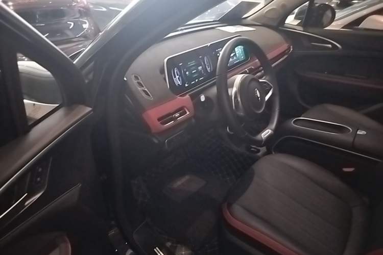 Used ORA Good Cat GT 2024 Mulan Edition 401km Luxury Version Driver Seat