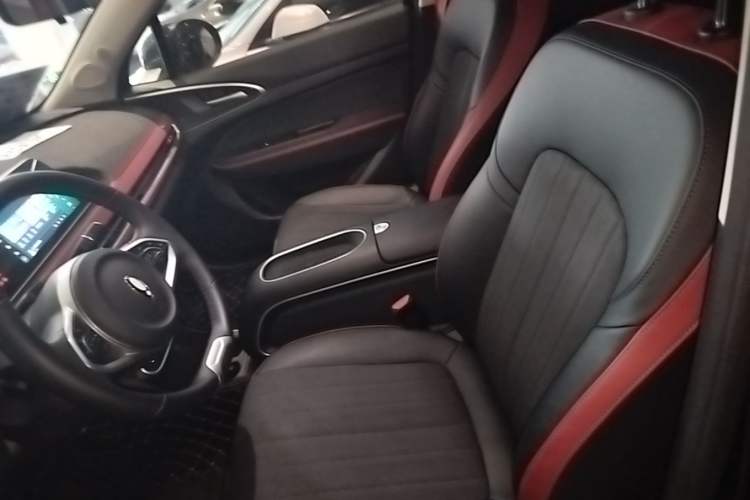 Used ORA Good Cat GT 2024 Mulan Edition 401km Luxury Version Left Front Seat
