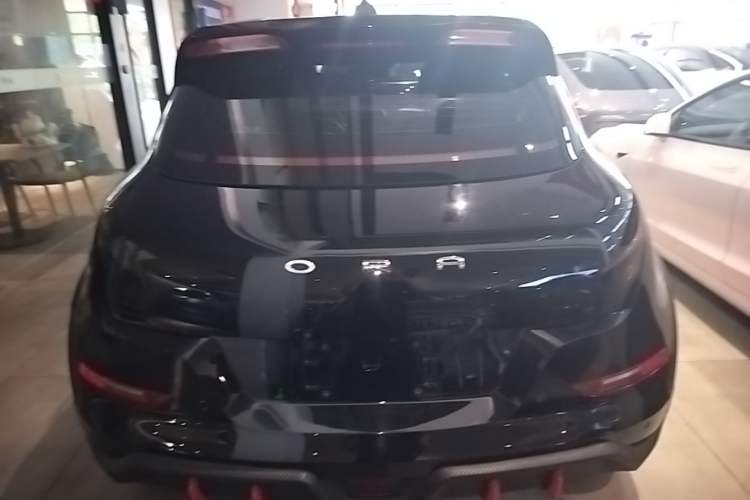 Used ORA Good Cat GT 2024 Mulan Edition 401km Luxury Version Rear