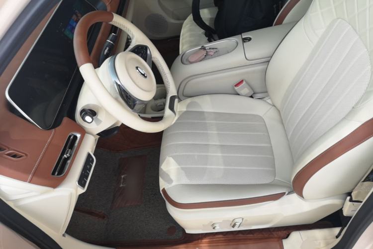 Used ORA Good Cat GT 2024 Mulan Edition 401 km Range Luxury Version 126 kW Left Front Seat