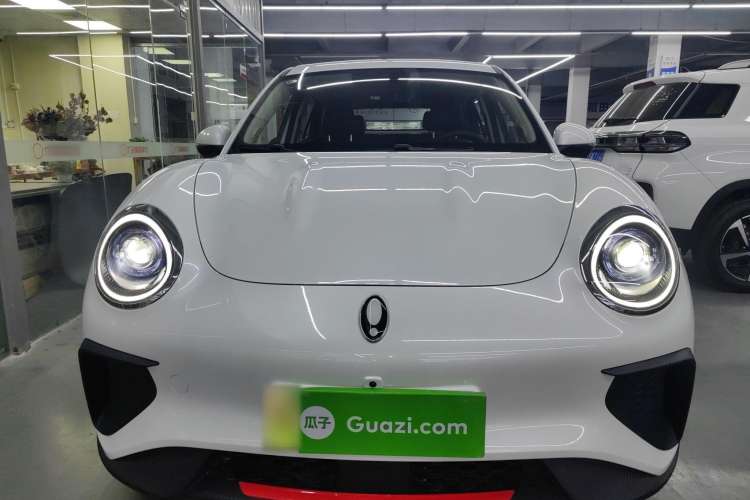 Used ORA Good Cat GT 2024 Revised Edition Mulan Version 401 km Luxury Grade Exterior 1