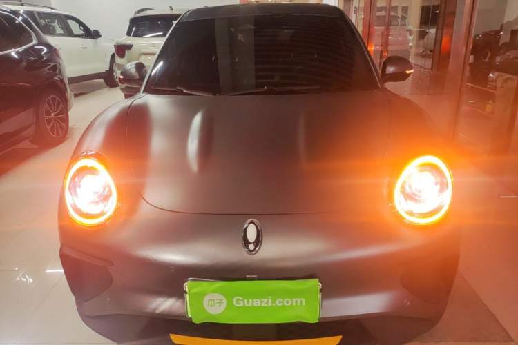 Used ORA Good Cat GT 2025 Model, Mulan Edition, 430km Prestige Version Front