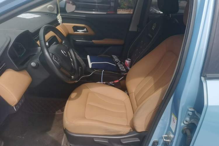 Used ORA iQ 2018 High-Range Version Smart Connectivity Model Left Front Seat