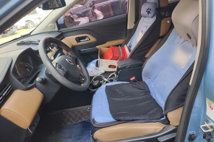 Used ORA iQ 2018 High-Range Version Smart Connectivity Model Left Front Seat